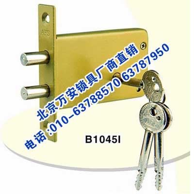 B10451